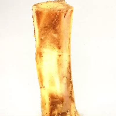K9 Beef Femur
