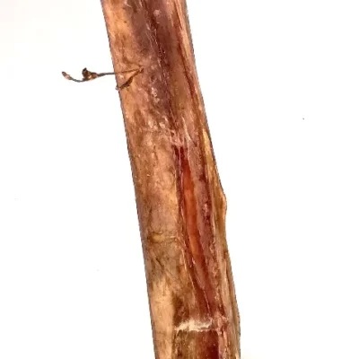 K9 Ostrich Femur Bone