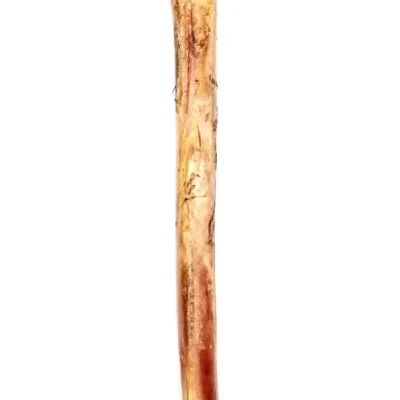 K9 Ostrich Long Bone
