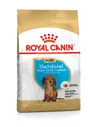 Royal Canin Dachshund Dog Food