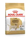 Royal Canin Labrador Retriever Dog Food - Image 2