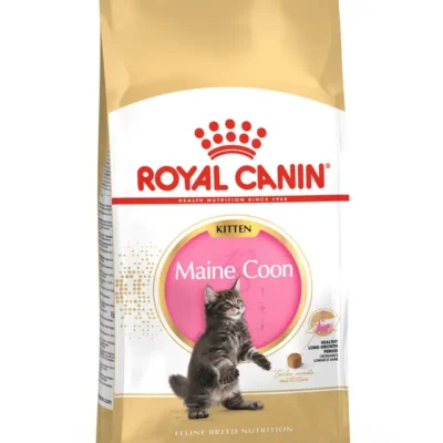 Royal Canin Maine Coon Cat Food