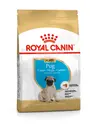 Royal Canin Pug Dog Food