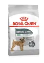 Royal Canin Mini Dental Care Dog Food