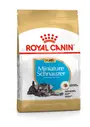 Royal Canin Schnauzer Dog Food